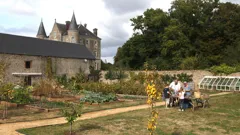 Escape to the Chateau