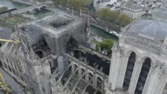 Discovered By Disaster