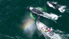 The Future of Nature