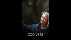 Vets: Gach Creutair Beo