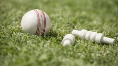 The Best of The Big Bash League