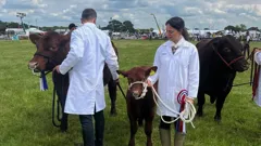 Fletchers' Family Farm