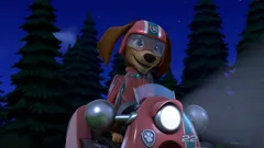 PAW Patrol