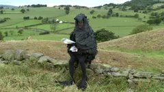 Last of the Summer Wine
