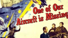 One of Our Aircraft Is Missing