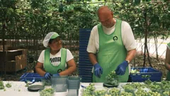 Tom Kerridge Cooks Spain