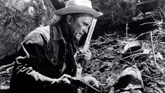 Lonely Are the Brave