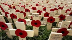 Royal British Legion Festival of Remembrance