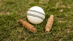 Cricket