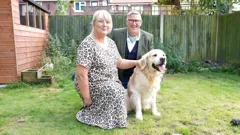 Dogs Behaving (Very) Badly