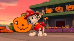 Paw Patrol