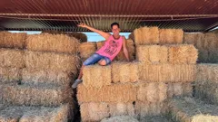 Bargain-Loving Brits in the Sun