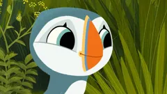 Puffin Rock
